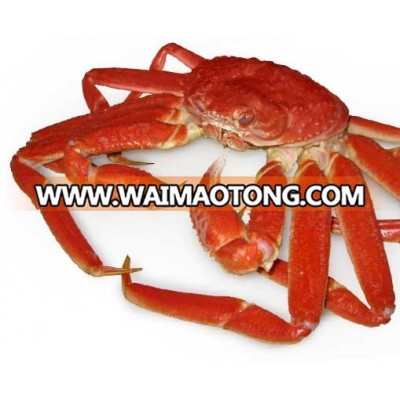 Hot-selling Live Dungeness Crab,Canadian Frozen Snow Crab